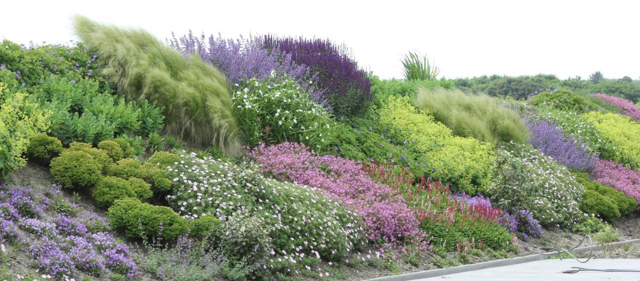 Duinvilla Aan De Zee Zoutelande